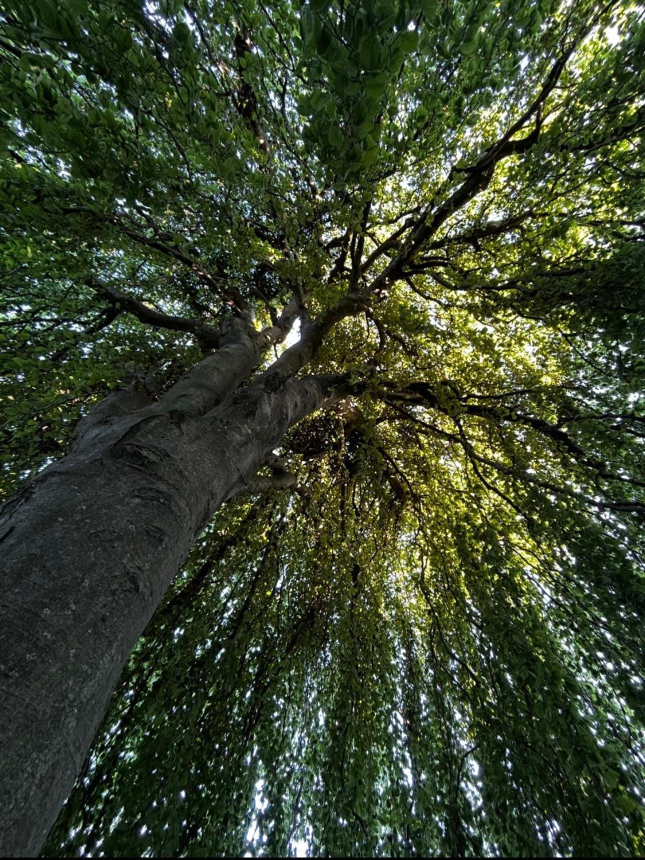Maestrale Διαμέρισμα Nebbiuno Εξωτερικό φωτογραφία